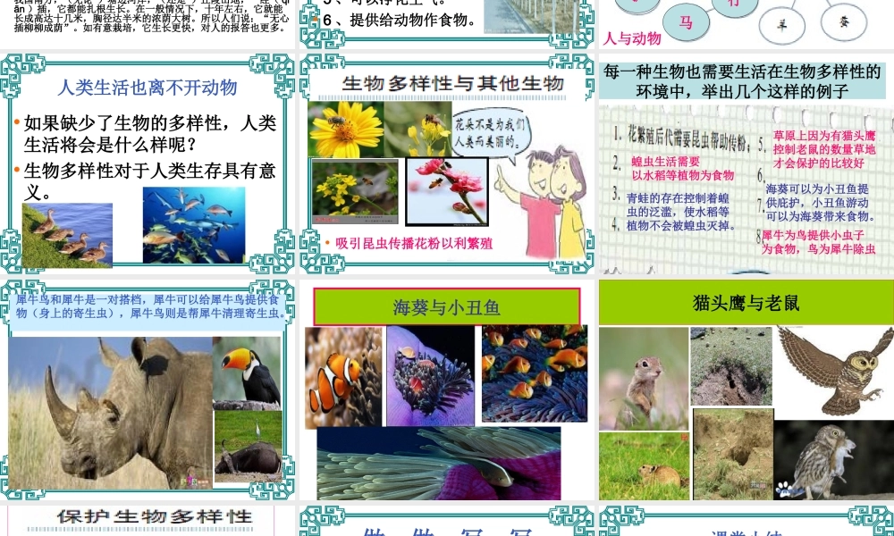 教科小学科学六上《4.8、生物多样性的意义》PPT课件(4)【加微信公众号 jiaoxuewuyou 九折优惠 qq 1119139686】.ppt