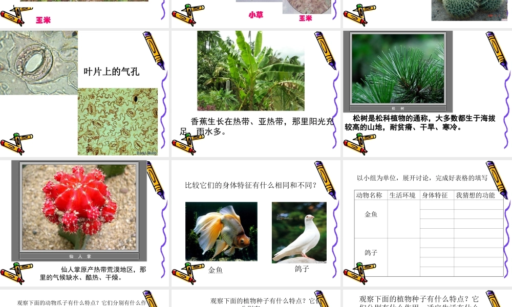 教科小学科学六上《4.6、原来是相关联的》PPT课件(9)【加微信公众号 jiaoxuewuyou 九折优惠 qq 1119139686】.ppt