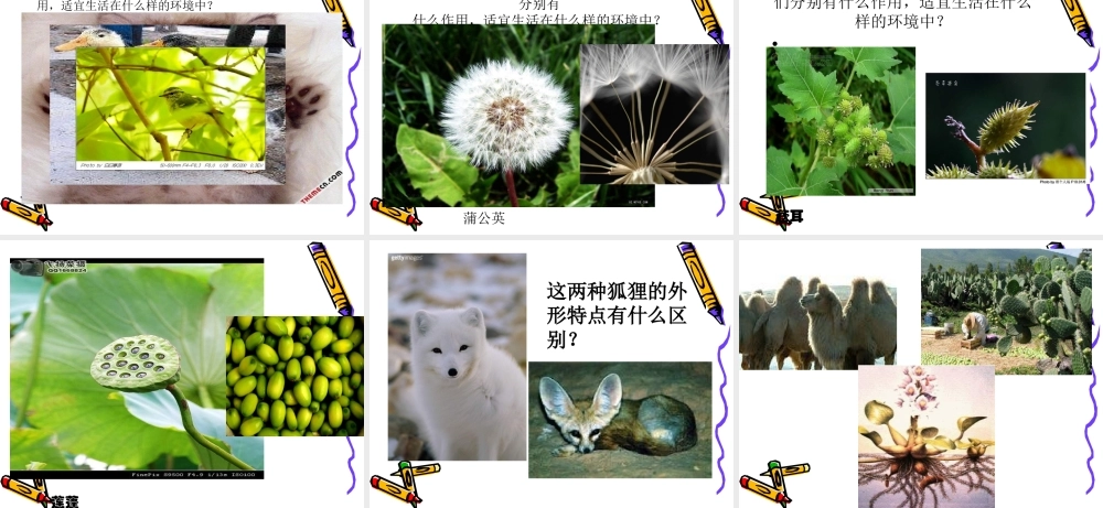 教科小学科学六上《4.6、原来是相关联的》PPT课件(9)【加微信公众号 jiaoxuewuyou 九折优惠 qq 1119139686】.ppt