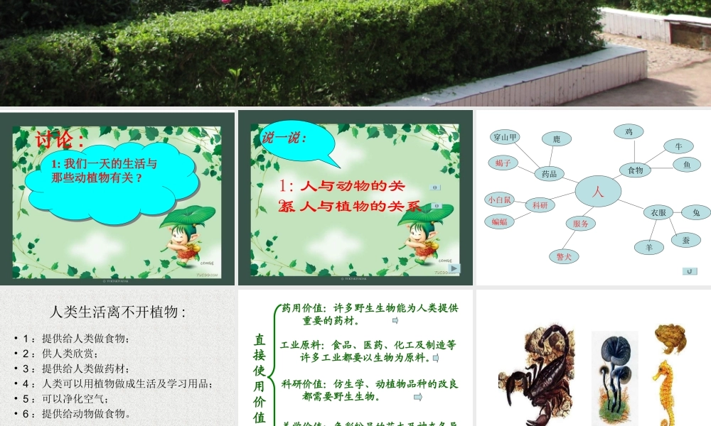 教科小学科学六上《4.8、生物多样性的意义》PPT课件(7)【加微信公众号 jiaoxuewuyou 九折优惠 qq 1119139686】.ppt