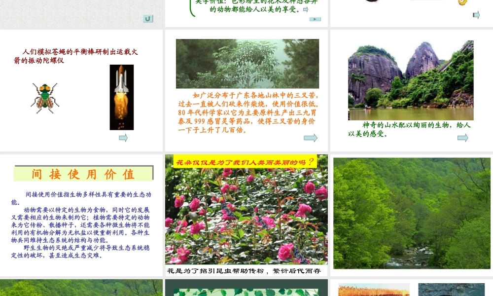 教科小学科学六上《4.8、生物多样性的意义》PPT课件(7)【加微信公众号 jiaoxuewuyou 九折优惠 qq 1119139686】.ppt