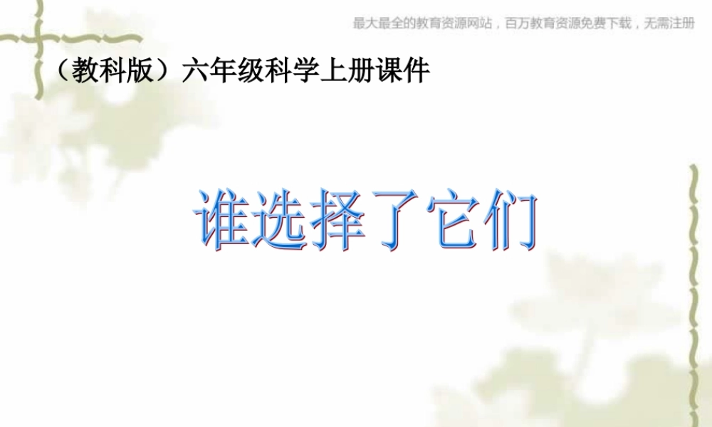教科小学科学六上《4.7、谁选择了它们》PPT课件(8)【加微信公众号 jiaoxuewuyou 九折优惠 qq 1119139686】.ppt