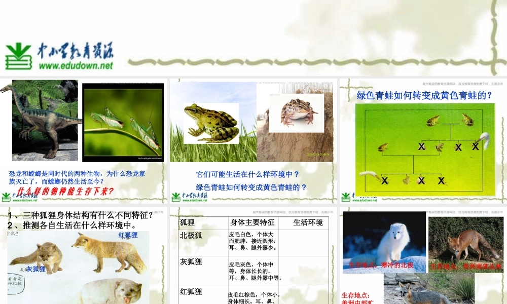 教科小学科学六上《4.7、谁选择了它们》PPT课件(8)【加微信公众号 jiaoxuewuyou 九折优惠 qq 1119139686】.ppt