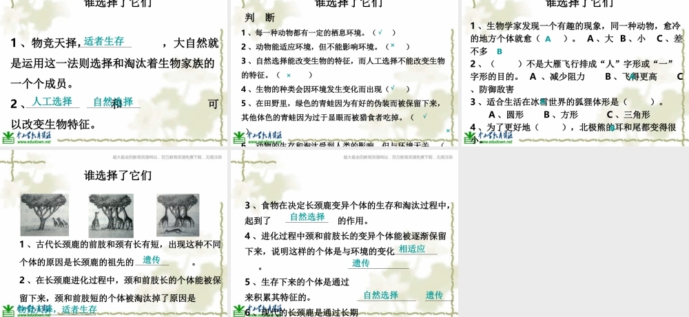 教科小学科学六上《4.7、谁选择了它们》PPT课件(8)【加微信公众号 jiaoxuewuyou 九折优惠 qq 1119139686】.ppt