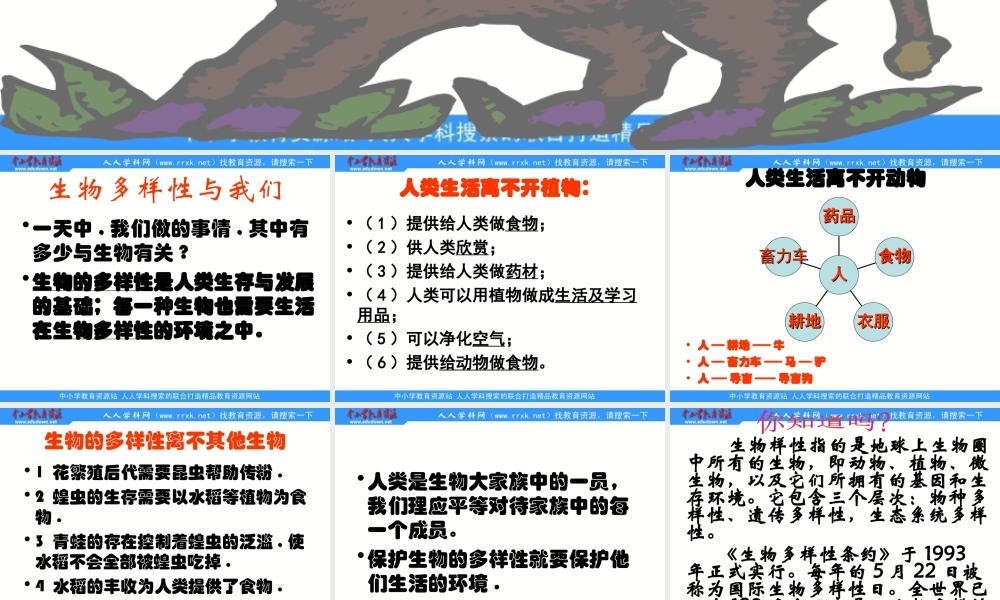 教科小学科学六上《4.8、生物多样性的意义》PPT课件(2)【加微信公众号 jiaoxuewuyou 九折优惠 qq 1119139686】.ppt