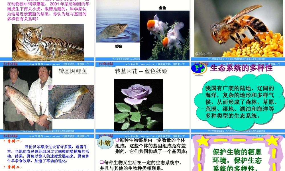 教科小学科学六上《4.8、生物多样性的意义》PPT课件(2)【加微信公众号 jiaoxuewuyou 九折优惠 qq 1119139686】.ppt