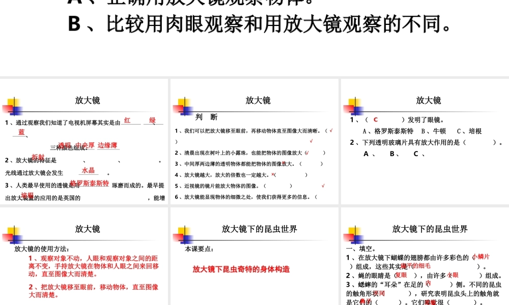 教科小学科学六下《1.1、放大镜》PPT课件(2)【加微信公众号 jiaoxuewuyou 九折优惠 qq 1119139686】.ppt
