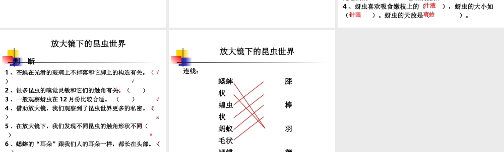 教科小学科学六下《1.1、放大镜》PPT课件(2)【加微信公众号 jiaoxuewuyou 九折优惠 qq 1119139686】.ppt