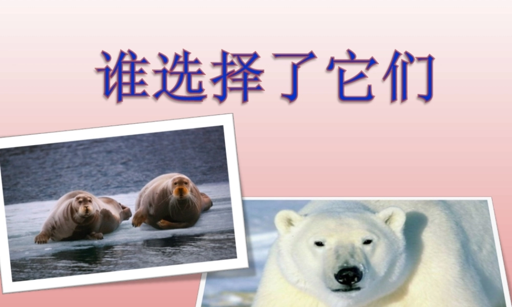 教科小学科学六上《4.7、谁选择了它们》PPT课件(5)【加微信公众号 jiaoxuewuyou 九折优惠 qq 1119139686】.ppt