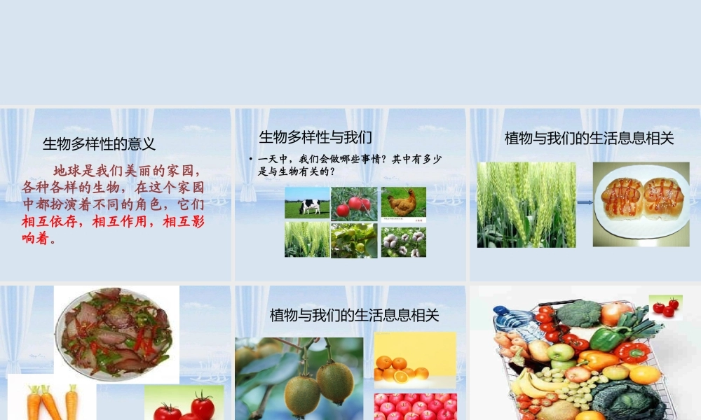 教科小学科学六上《4.8、生物多样性的意义》PPT课件(1)【加微信公众号 jiaoxuewuyou 九折优惠 qq 1119139686】.ppt