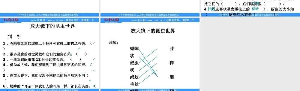 教科小学科学六下《1.1、放大镜》PPT课件(1)【加微信公众号 jiaoxuewuyou 九折优惠 qq 1119139686】.pptx