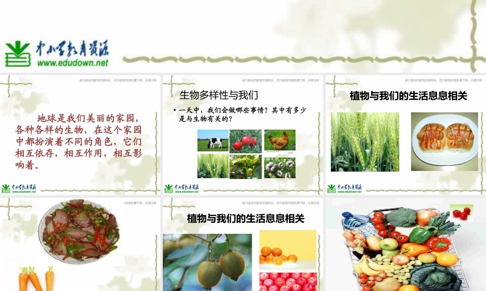 教科小学科学六上《4.8、生物多样性的意义》PPT课件(3)【加微信公众号 jiaoxuewuyou 九折优惠 qq 1119139686】.ppt