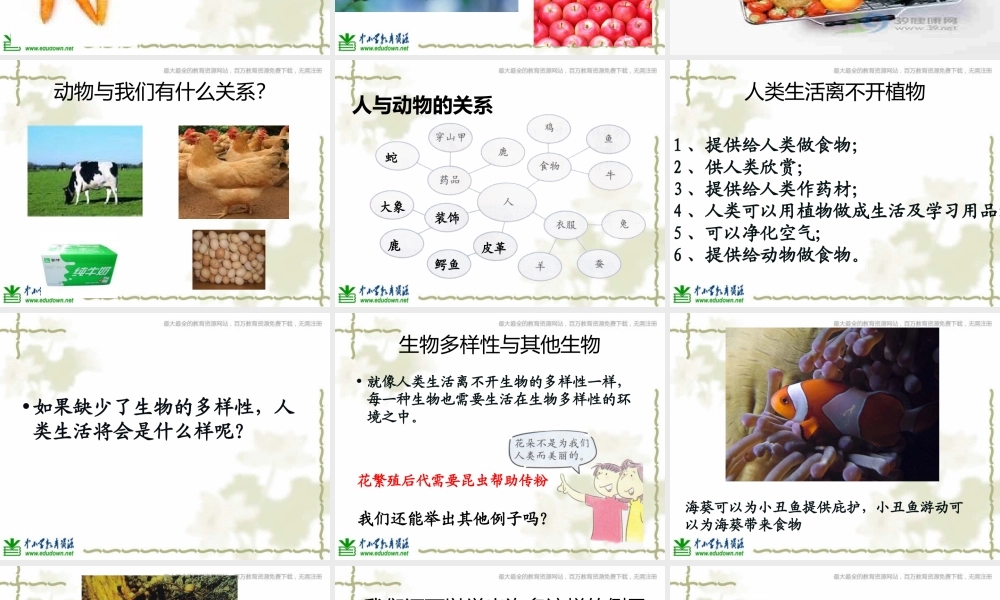 教科小学科学六上《4.8、生物多样性的意义》PPT课件(3)【加微信公众号 jiaoxuewuyou 九折优惠 qq 1119139686】.ppt