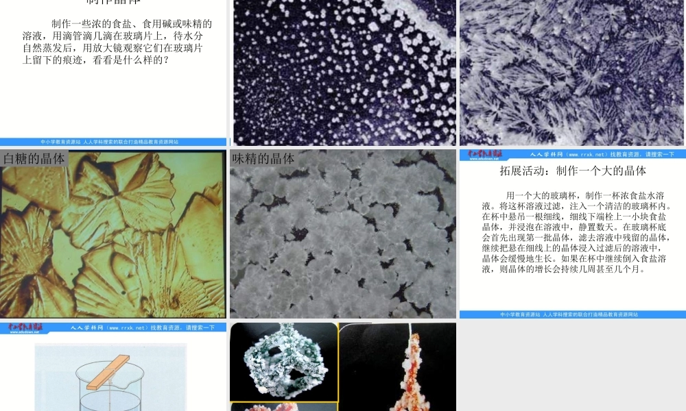 教科小学科学六下《1.3、放大镜下的晶体》PPT课件(2)【加微信公众号 jiaoxuewuyou 九折优惠 qq 1119139686】.ppt