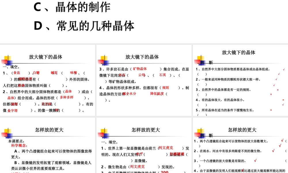 教科小学科学六下《1.3、放大镜下的晶体》PPT课件(5)【加微信公众号 jiaoxuewuyou 九折优惠 qq 1119139686】.ppt