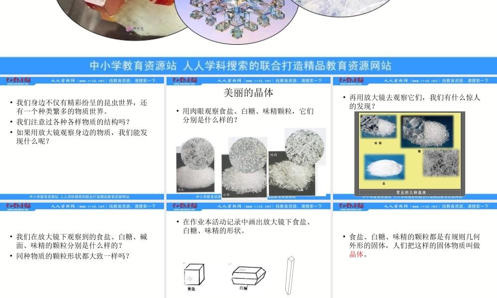 教科小学科学六下《1.3、放大镜下的晶体》PPT课件(3)【加微信公众号 jiaoxuewuyou 九折优惠 qq 1119139686】.ppt