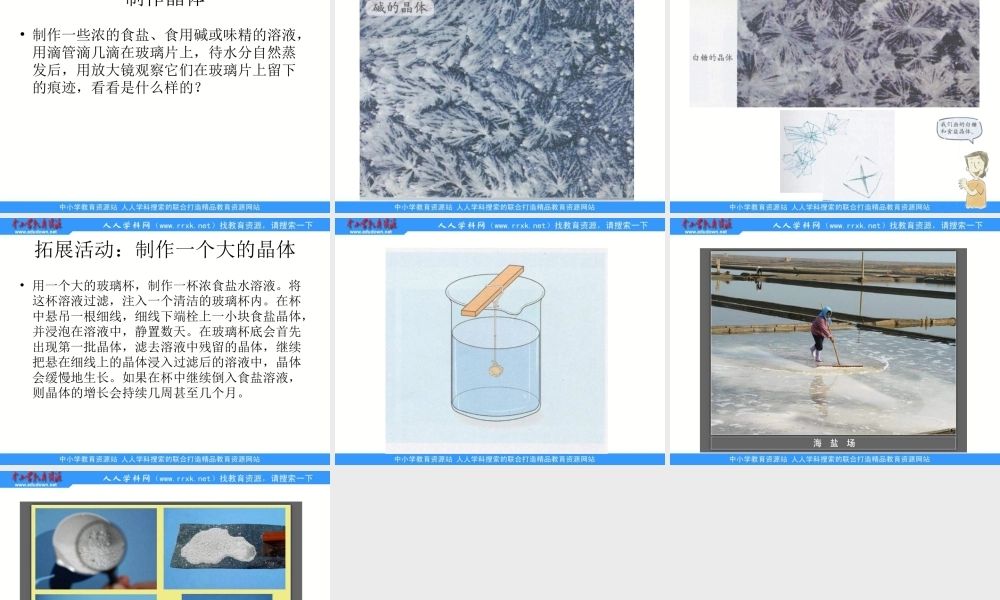 教科小学科学六下《1.3、放大镜下的晶体》PPT课件(3)【加微信公众号 jiaoxuewuyou 九折优惠 qq 1119139686】.ppt