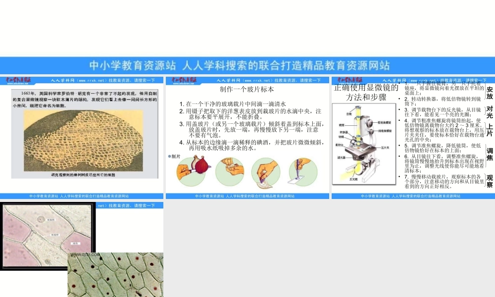 教科小学科学六下《1.5、用显微镜观察身边的生命世界（一）》PPT课件(1)【加微信公众号 jiaoxuewuyou 九折优惠 qq 1119139686】.ppt