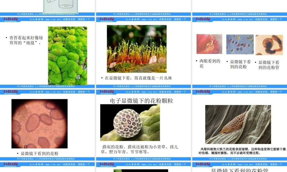 教科小学科学六下《1.4、怎样放得更大》PPT课件(3)【加微信公众号 jiaoxuewuyou 九折优惠 qq 1119139686】.ppt