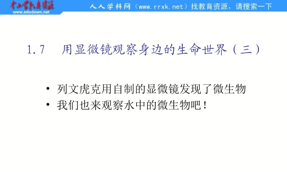 教科小学科学六下《1.7、用显微镜观察身边的生命世界（三）》PPT课件(3)【加微信公众号 jiaoxuewuyou 九折优惠 qq 1119139686】.ppt