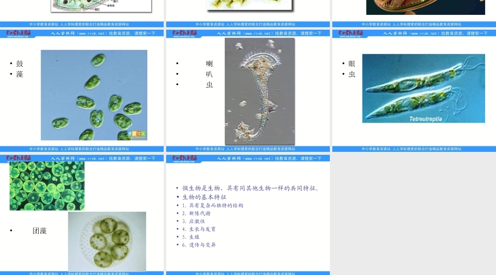 教科小学科学六下《1.7、用显微镜观察身边的生命世界（三）》PPT课件(3)【加微信公众号 jiaoxuewuyou 九折优惠 qq 1119139686】.ppt