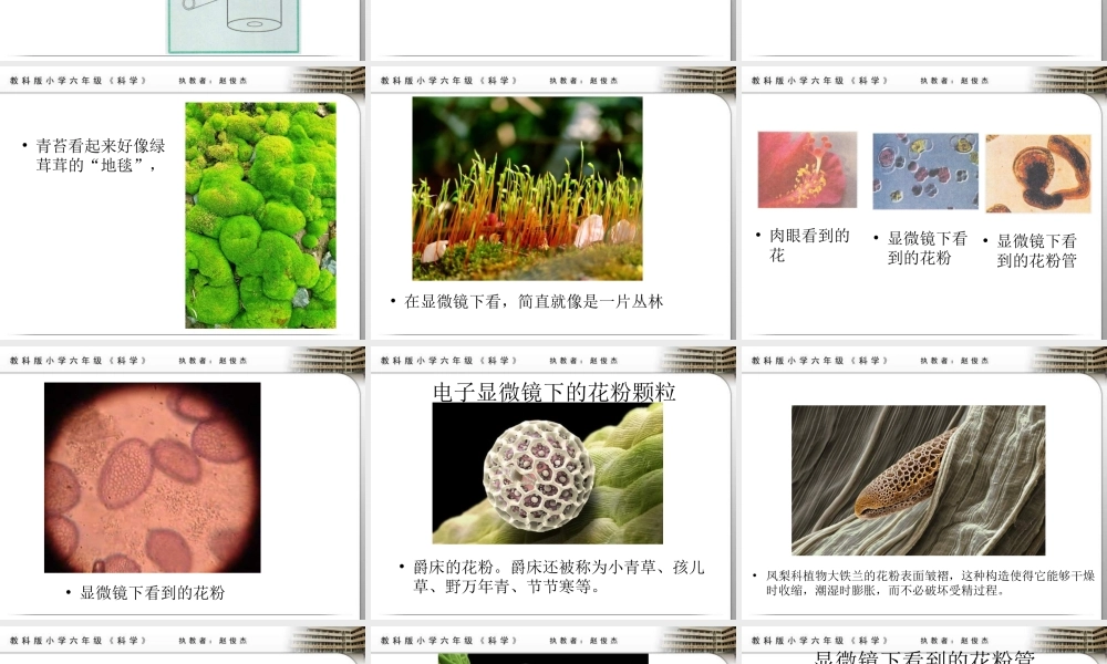 教科小学科学六下《1.4、怎样放得更大》PPT课件(4)【加微信公众号 jiaoxuewuyou 九折优惠 qq 1119139686】.ppt