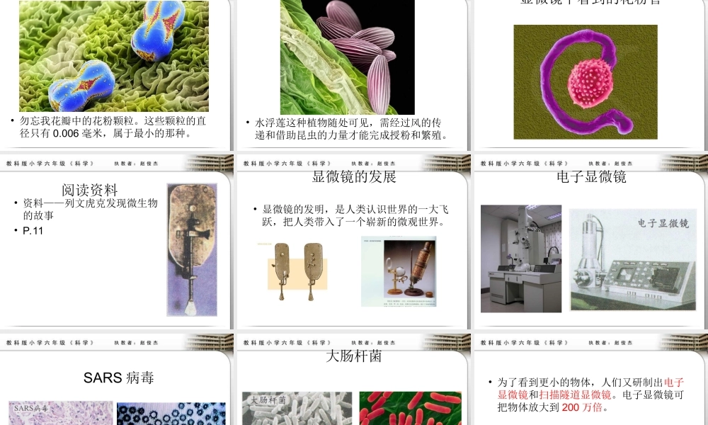 教科小学科学六下《1.4、怎样放得更大》PPT课件(4)【加微信公众号 jiaoxuewuyou 九折优惠 qq 1119139686】.ppt