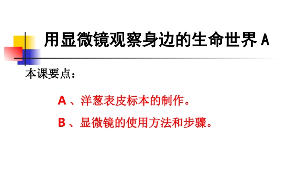 教科小学科学六下《1.7、用显微镜观察身边的生命世界（三）》PPT课件(1)【加微信公众号 jiaoxuewuyou 九折优惠 qq 1119139686】.ppt