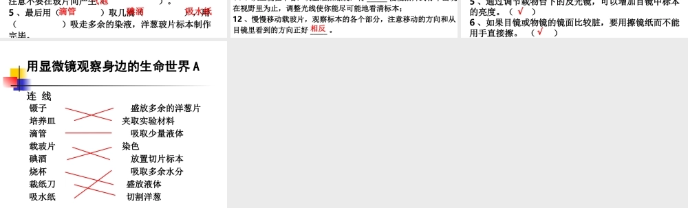 教科小学科学六下《1.7、用显微镜观察身边的生命世界（三）》PPT课件(1)【加微信公众号 jiaoxuewuyou 九折优惠 qq 1119139686】.ppt