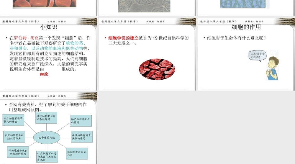 教科小学科学六下《1.6、用显微镜观察身边的生命世界（二）》PPT课件(2)【加微信公众号 jiaoxuewuyou 九折优惠 qq 1119139686】.ppt