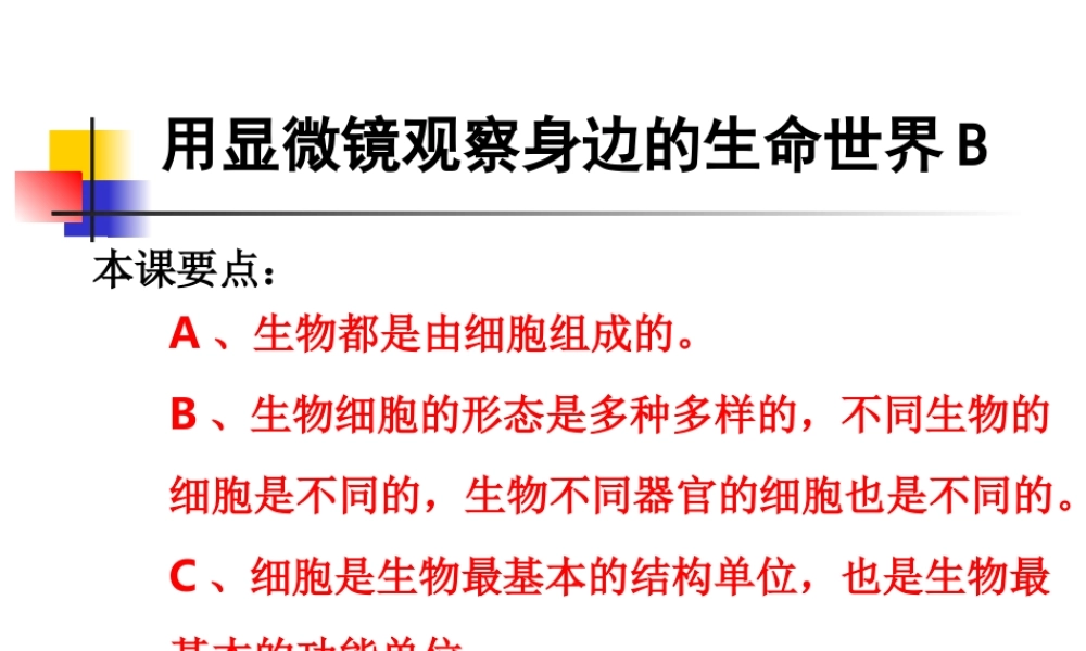 教科小学科学六下《1.7、用显微镜观察身边的生命世界（三）》PPT课件(5)【加微信公众号 jiaoxuewuyou 九折优惠 qq 1119139686】.ppt
