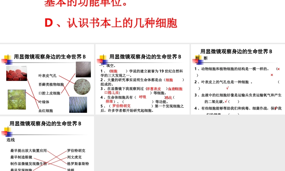 教科小学科学六下《1.7、用显微镜观察身边的生命世界（三）》PPT课件(5)【加微信公众号 jiaoxuewuyou 九折优惠 qq 1119139686】.ppt