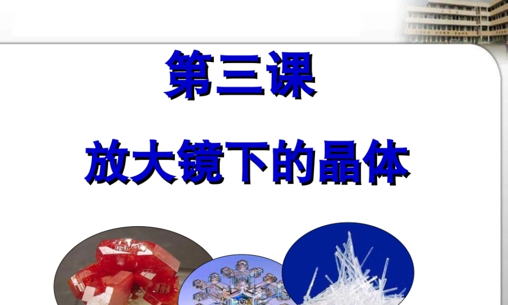 教科小学科学六下《1.3、放大镜下的晶体》PPT课件(4)【加微信公众号 jiaoxuewuyou 九折优惠 qq 1119139686】.ppt