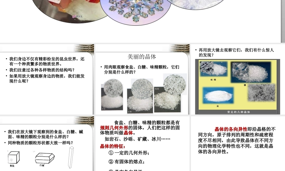 教科小学科学六下《1.3、放大镜下的晶体》PPT课件(4)【加微信公众号 jiaoxuewuyou 九折优惠 qq 1119139686】.ppt