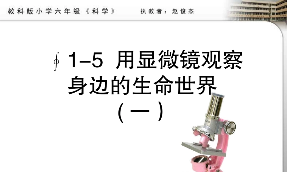 教科小学科学六下《1.5、用显微镜观察身边的生命世界（一）》PPT课件(2)【加微信公众号 jiaoxuewuyou 九折优惠 qq 1119139686】.ppt