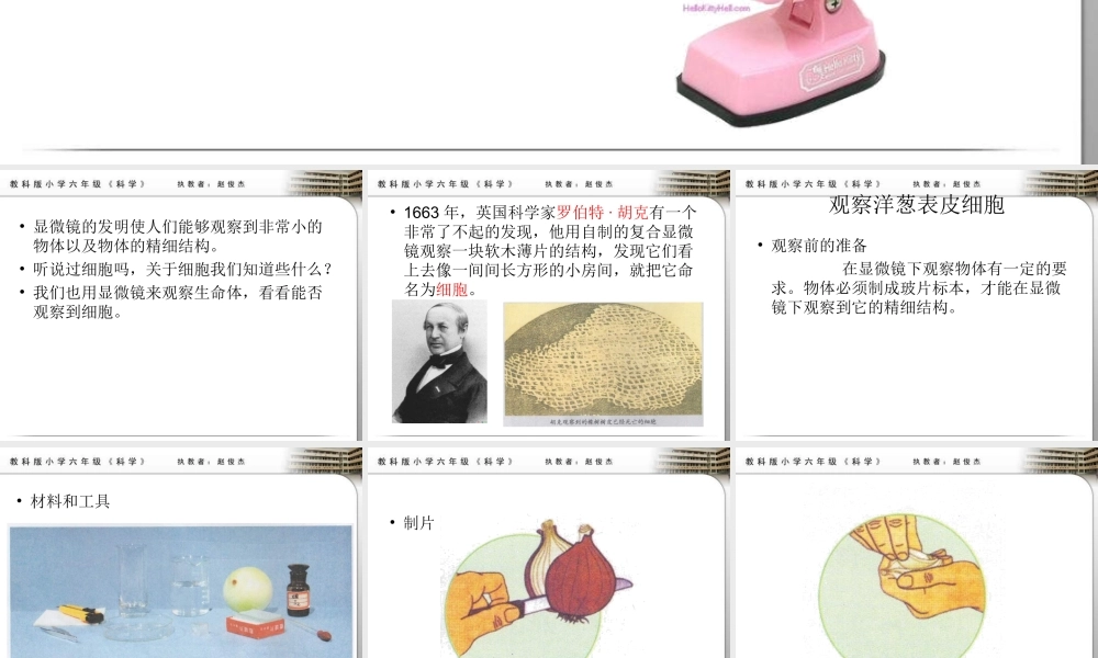 教科小学科学六下《1.5、用显微镜观察身边的生命世界（一）》PPT课件(2)【加微信公众号 jiaoxuewuyou 九折优惠 qq 1119139686】.ppt