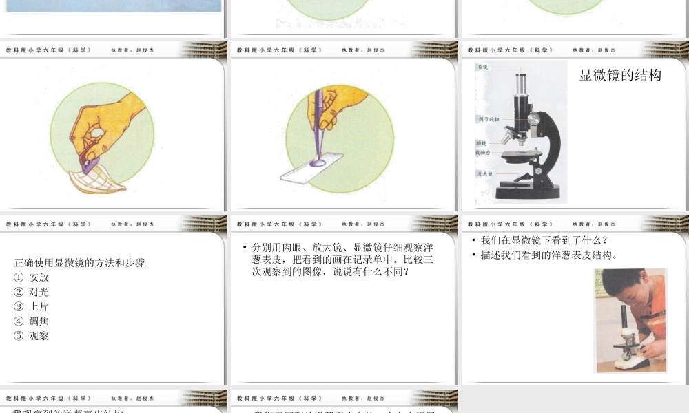 教科小学科学六下《1.5、用显微镜观察身边的生命世界（一）》PPT课件(2)【加微信公众号 jiaoxuewuyou 九折优惠 qq 1119139686】.ppt