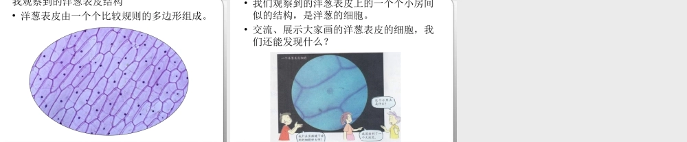 教科小学科学六下《1.5、用显微镜观察身边的生命世界（一）》PPT课件(2)【加微信公众号 jiaoxuewuyou 九折优惠 qq 1119139686】.ppt