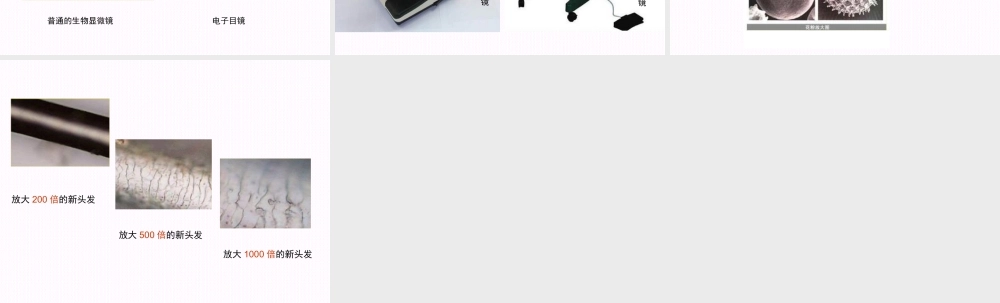 教科小学科学六下《1.4、怎样放得更大》PPT课件(5)【加微信公众号 jiaoxuewuyou 九折优惠 qq 1119139686】.ppt