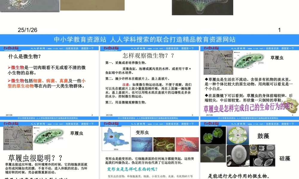 教科小学科学六下《1.7、用显微镜观察身边的生命世界（三）》PPT课件(2)【加微信公众号 jiaoxuewuyou 九折优惠 qq 1119139686】.ppt