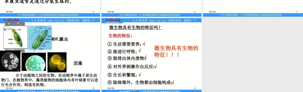 教科小学科学六下《1.7、用显微镜观察身边的生命世界（三）》PPT课件(2)【加微信公众号 jiaoxuewuyou 九折优惠 qq 1119139686】.ppt