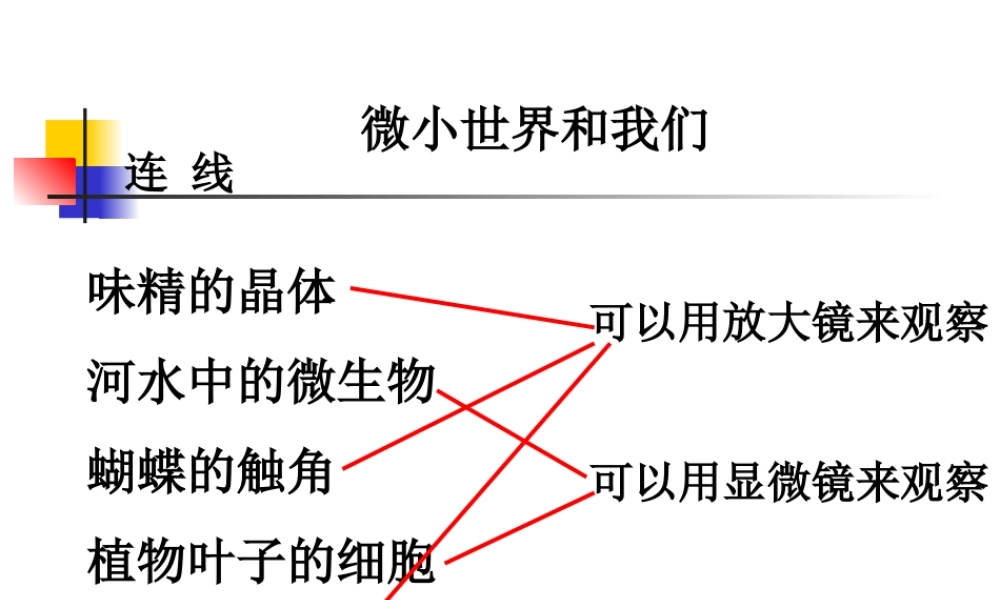 教科小学科学六下《1.8、微小世界和我们》PPT课件(1)【加微信公众号 jiaoxuewuyou 九折优惠 qq 1119139686】.ppt