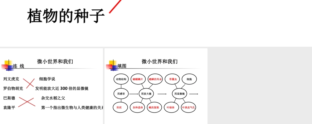 教科小学科学六下《1.8、微小世界和我们》PPT课件(1)【加微信公众号 jiaoxuewuyou 九折优惠 qq 1119139686】.ppt