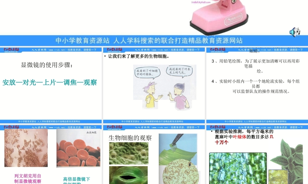 教科小学科学六下《1.6、用显微镜观察身边的生命世界（二）》PPT课件(1)【加微信公众号 jiaoxuewuyou 九折优惠 qq 1119139686】.ppt