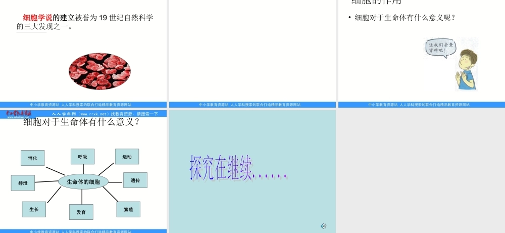 教科小学科学六下《1.6、用显微镜观察身边的生命世界（二）》PPT课件(1)【加微信公众号 jiaoxuewuyou 九折优惠 qq 1119139686】.ppt