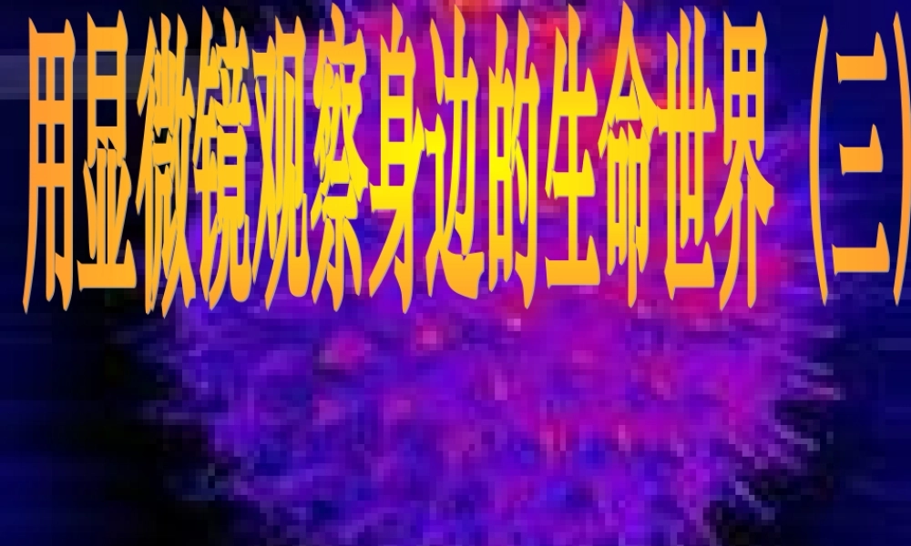 教科小学科学六下《1.7、用显微镜观察身边的生命世界（三）》PPT课件(4)【加微信公众号 jiaoxuewuyou 九折优惠 qq 1119139686】.ppt