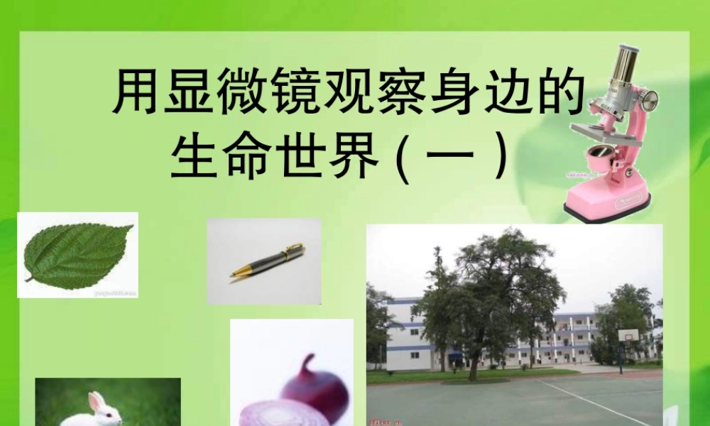 教科小学科学六下《1.5、用显微镜观察身边的生命世界（一）》PPT课件(3)【加微信公众号 jiaoxuewuyou 九折优惠 qq 1119139686】.ppt
