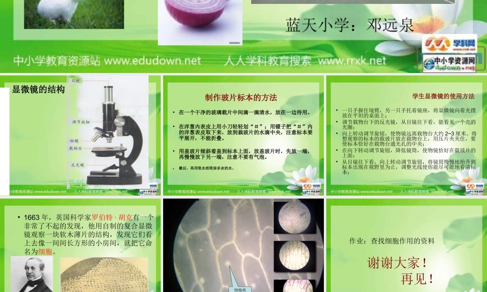 教科小学科学六下《1.5、用显微镜观察身边的生命世界（一）》PPT课件(3)【加微信公众号 jiaoxuewuyou 九折优惠 qq 1119139686】.ppt