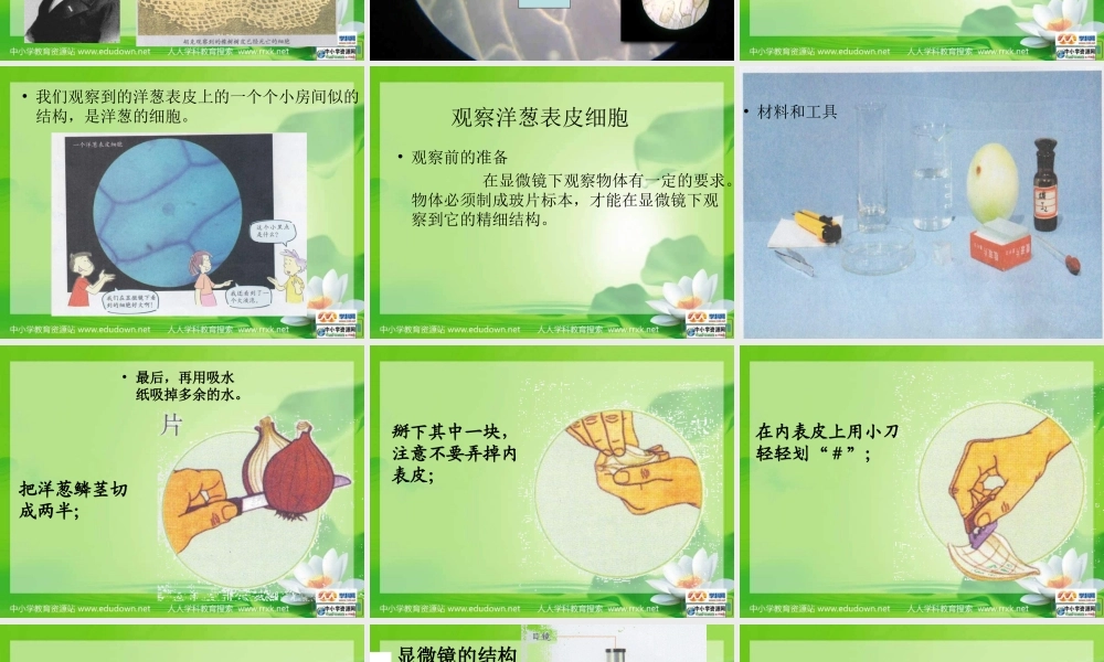 教科小学科学六下《1.5、用显微镜观察身边的生命世界（一）》PPT课件(3)【加微信公众号 jiaoxuewuyou 九折优惠 qq 1119139686】.ppt