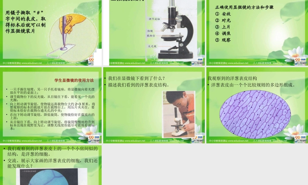 教科小学科学六下《1.5、用显微镜观察身边的生命世界（一）》PPT课件(3)【加微信公众号 jiaoxuewuyou 九折优惠 qq 1119139686】.ppt